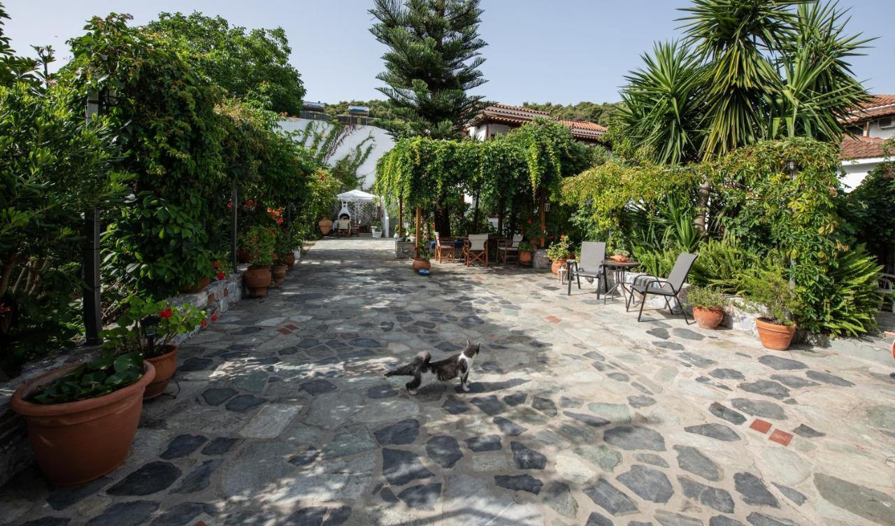 Katikies Stamatias Studios & Maisonettes Agnontas Esterno foto