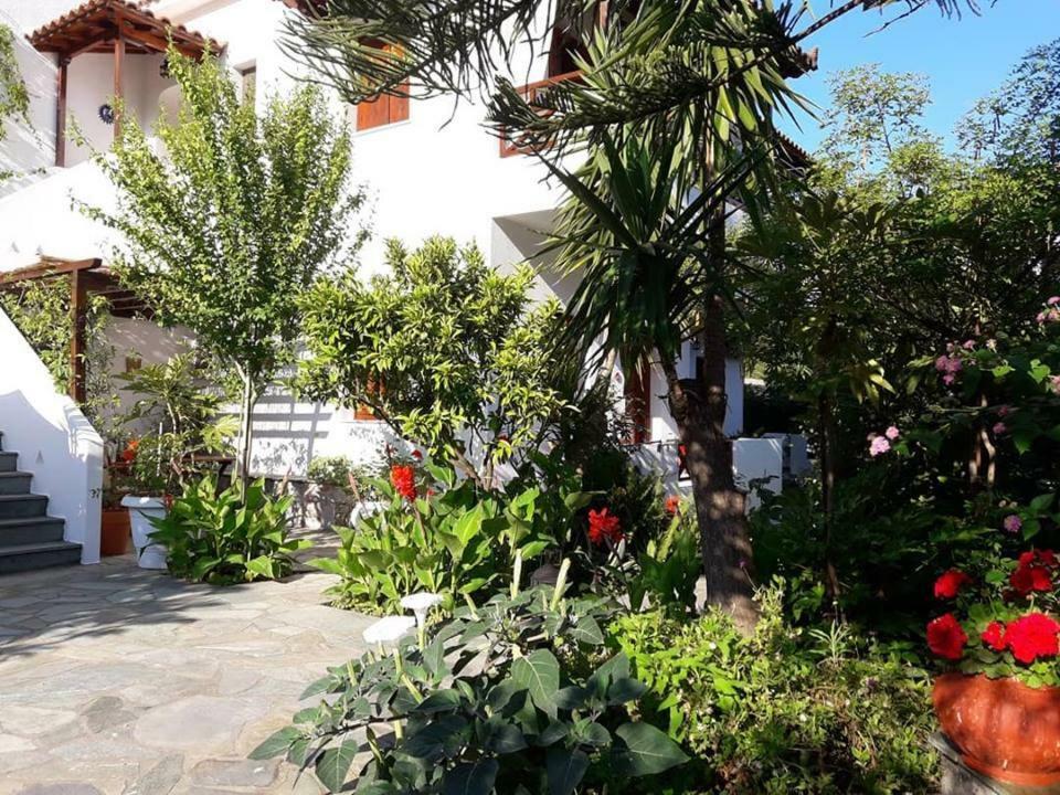 Katikies Stamatias Studios & Maisonettes Agnontas Esterno foto